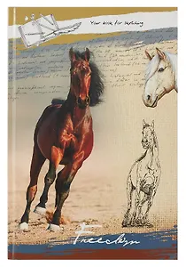 Набор для творчества Скетчбук А4,100л Лошадь на песке книжн., 7БЦ, глянц. лам. 100-3332