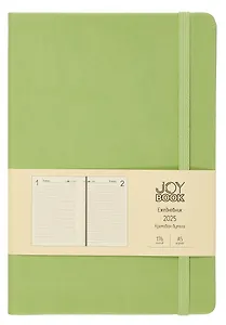 Ежедневник дат. 2025г. А5 176л "Joy Book" чай матча, 7Б, тв.переплет, иск.кожа, резинка, карман, скругл.углы, тонир.блок, ляссе, инд.уп
