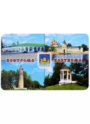 Магнит Кострома Коллаж-герб (винил) — 2913453 — 1