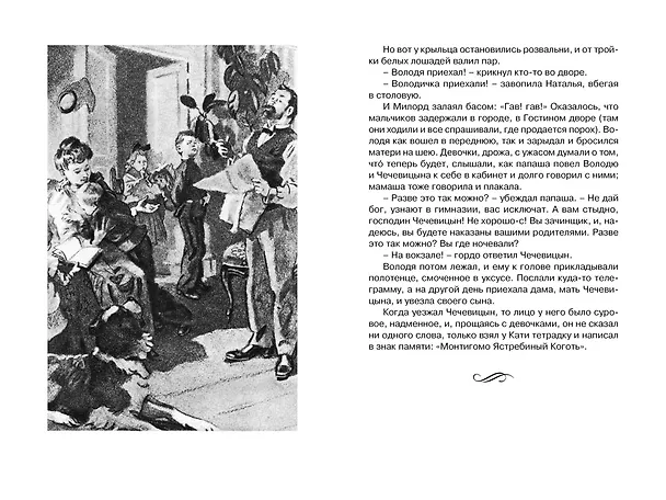 Книга Рассказы (Антон Чехов) — 14