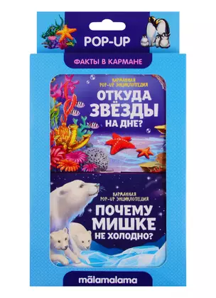 Набор "Факты в кармане". Откуда звезды на дне? + Почему мишке не холодно? — 2764353 — 1