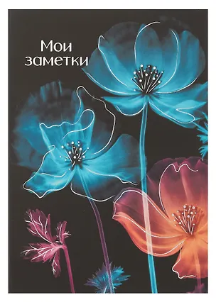 Книга для записей А5 128л кл. "Мир цветов" инт.переплет, мат.лам. soft-touch, тисн.фольгой, офсет 3059843