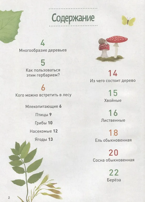 Книга Мой лесной гербарий (Анна Томас-Белли) — 2