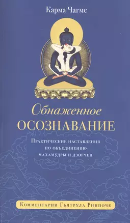 Обнажённое осознавание. Практические наставления по объединению махамудры и дзогчен — 2513956 — 1