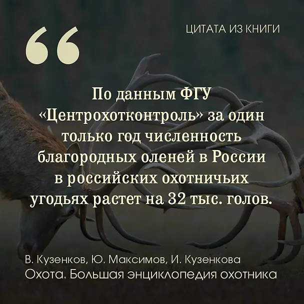 Книга Охота. Большая энциклопедия. 17 диких зверей (Юрий Максимов, Ираида Кузенкова, Валерий Кузенков) — 6