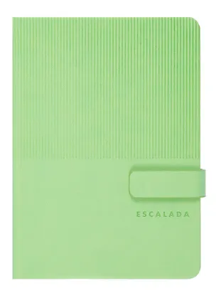 Ежедневник недат. А6+ 120л "Виннер" салатовый, кожзам, тв.переплет, блинтовое тиснение, магнит.клапан, офсет, ляссе 3055067