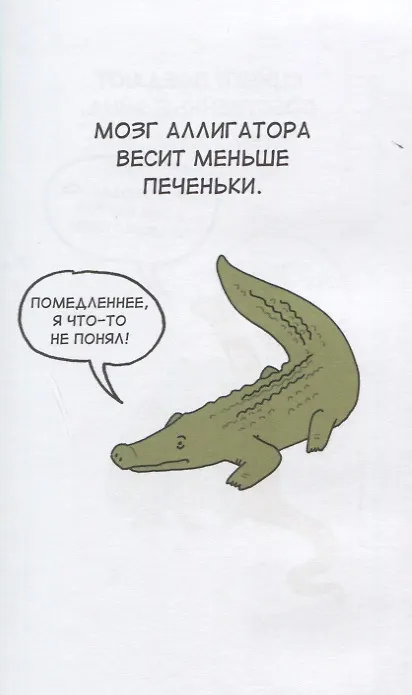 Грустные факты о животных 2662740 — 2
