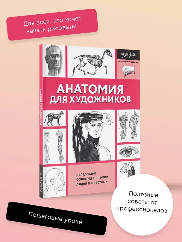 Книга Анатомия для художников () — 4