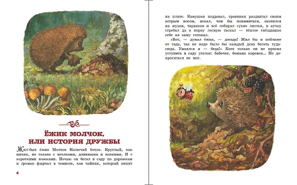 Книга Ежик Молчок, или История дружбы (Антун Крингс) — 5