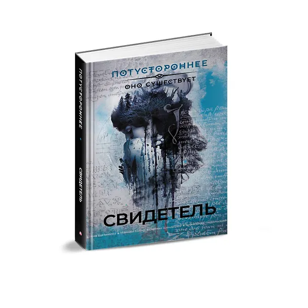 Книга Свидетель (Максим Кабир, Герман Шендеров, Елена Щетинина) — 4