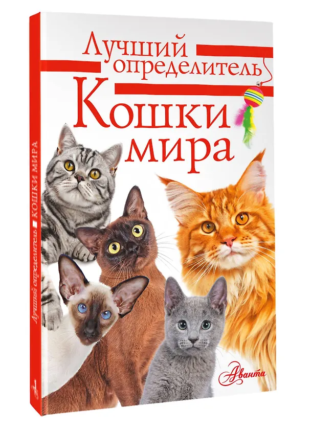 Книга Литература с видео-уроками (Анна Михальская) — 4