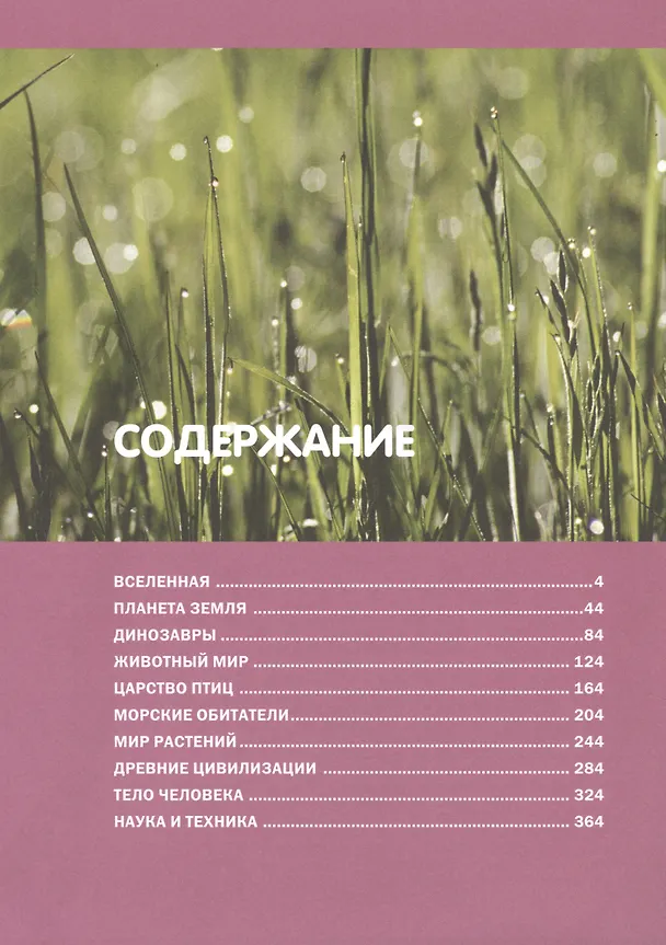 Книга Большая иллюстрированная энциклопедия для младших школьников (Юлия Феданова) — 2