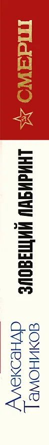 Книга Зловещий лабиринт (Александр Тамоников) — 3