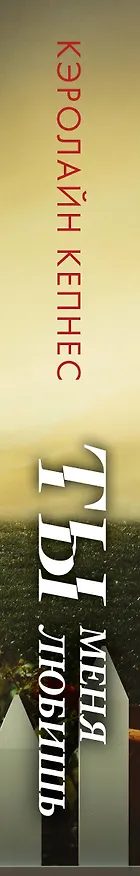 Книга Ты меня любишь (Кэролайн Кепнес) — 3