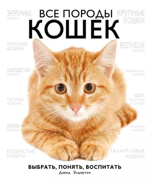 Все породы кошек — 2288670 — 1