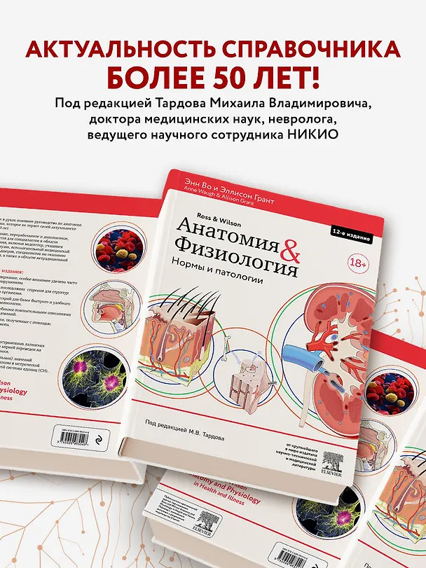 Книга Анатомия и физиология. Нормы и патологии (Энн Во) — 7