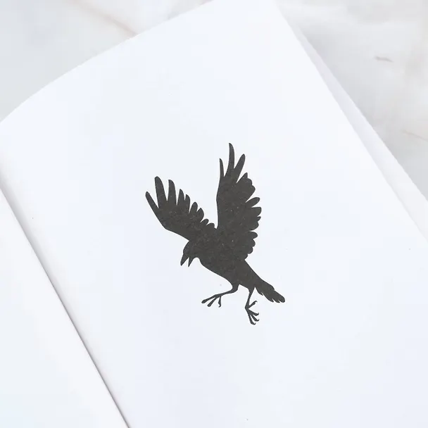 Книга Неопалимая (Маргарет Роджерсон) — 7