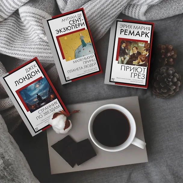 Книга Маленький принц. Планета людей (Антуан де Сент-Экзюпери) — 7