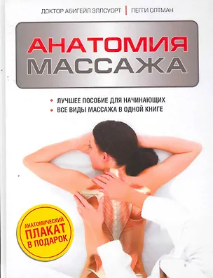 Анатомия массажа (Абигейл Эллсуорт) - купить книгу с доставкой в ...
