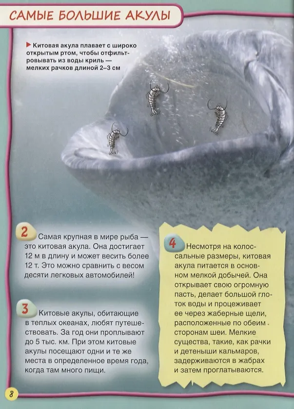 Книга Акулы (Стив Паркер) — 3