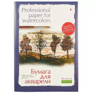 Папка для акварели «Professional», 20 листов, А3 — 235656 — 1