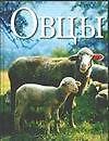 Книга Овцы. Ридер Хуго (АСТ) (Хуго Ридер) — 1