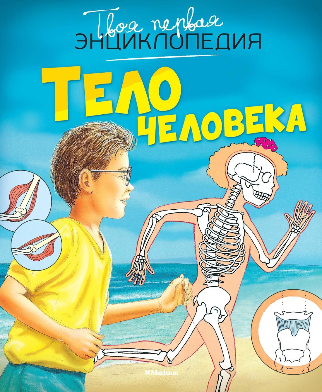 

Тело человека