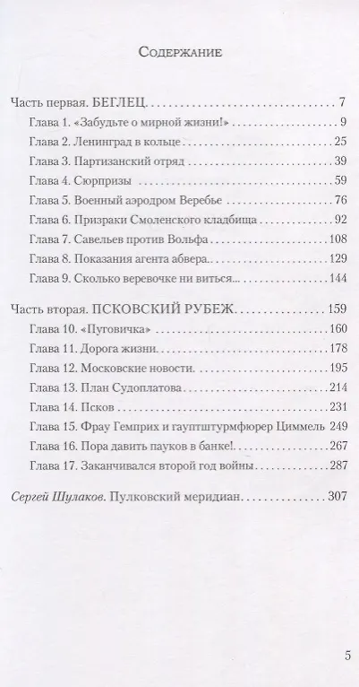 Книга Ленинградское время (Илья Дроканов) — 2