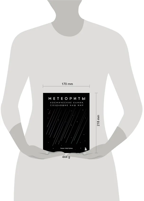 Книга Метеориты. Космические камни, создавшие наш мир (Тим Грегори) — 12