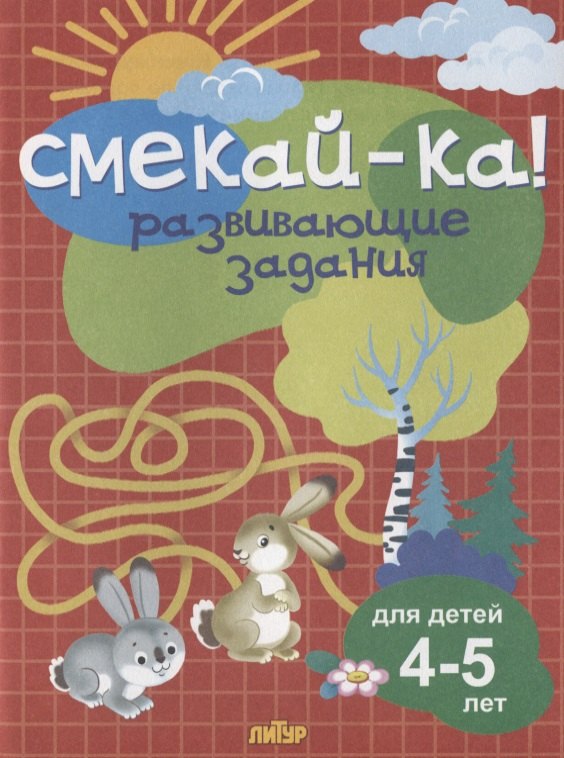 

Смекай-ка! Развивающие задания для детей 4-5 лет