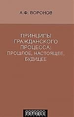 Принципы гражданского процесса: прошлое, настоящее, будущее