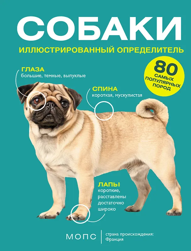 Книга Собаки. 80 самых популярных пород. Иллюстрированный определитель (Ирина Барановская) — 1