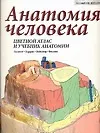 Книга Анатомия человека: Цветной атлас и учебник анатомии (Дж.А. Гослинг)