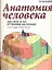 Анатомия человека: Цветной атлас и учебник анатомии — 2056517 — 1