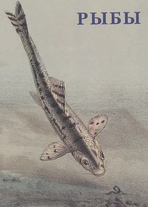 Книга Рыбы. Набор открыток ()