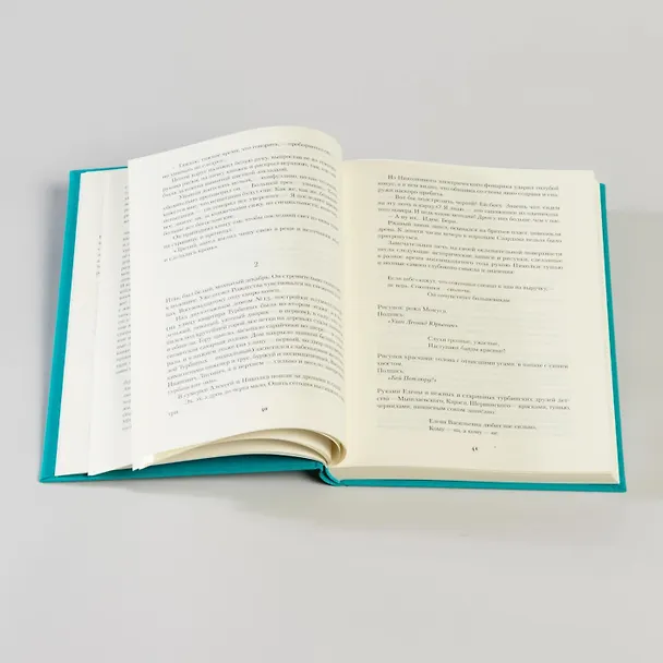 Книга Белая гвардия (Михаил Булгаков) — 20