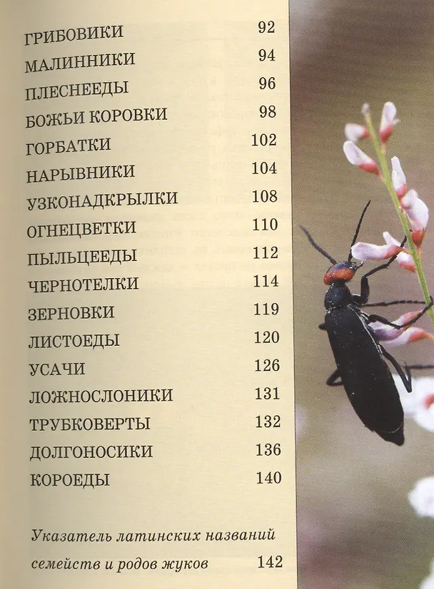 Книга Жуки: Карманный справочник () — 4