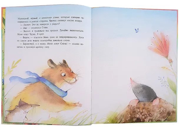 Книга Радуга для Чудика (Наталья Шицкая) — 3