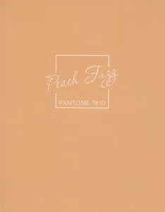 Книга для записей А5+ 96л кл. "Peach Fuzz" интеграл.перепл., матов.ламин., выб.лак.