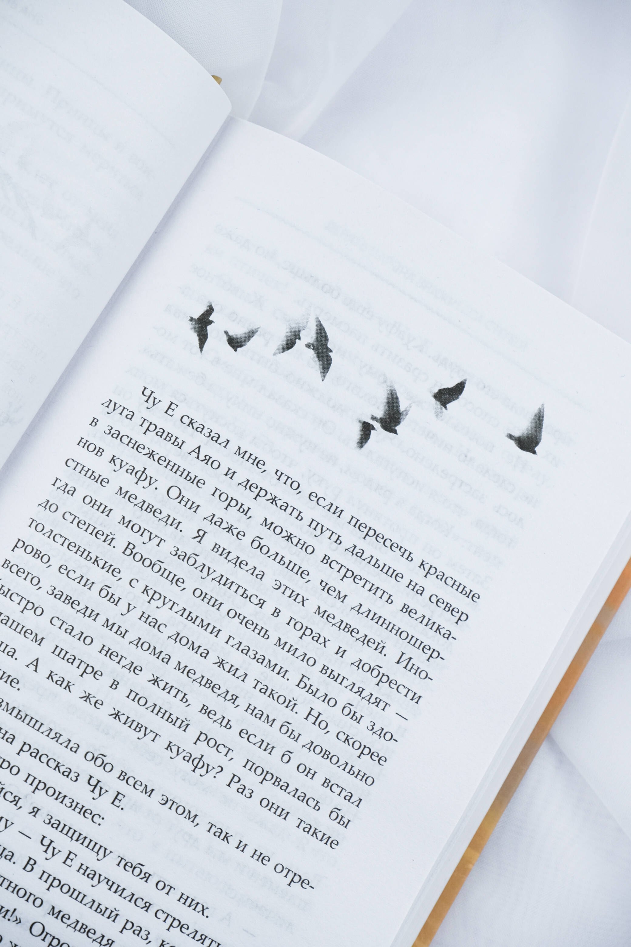 Изображение бумажной книги