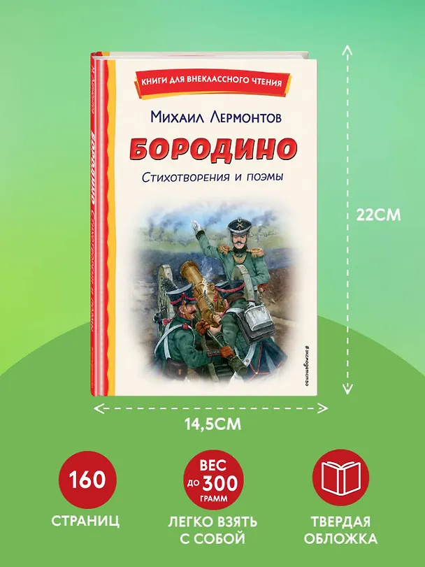 Книга Бородино. Стихотворения и поэмы (ил. Н. Гаврицкова) (Михаил Лермонтов) — 9