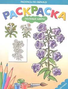 Раскраска для малышей.Полевые цветы