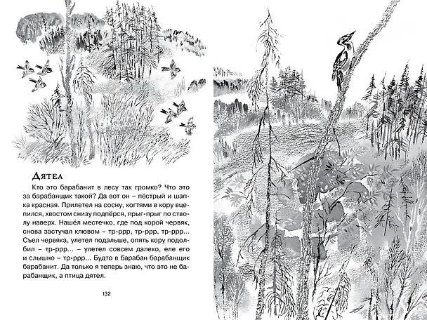 Книга Друзья (Евгений Чарушин) — 13