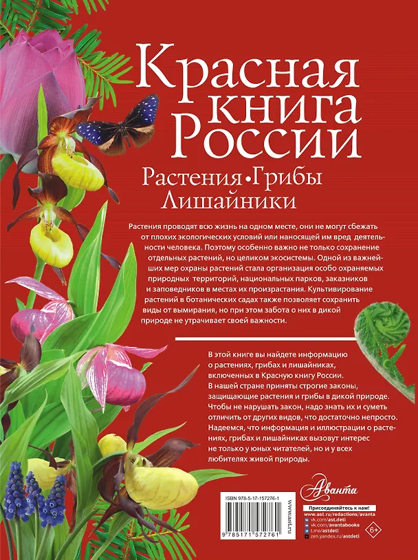 Книга Красная книга России. Растения. Грибы. Лишайники (Ирина Пескова) — 2