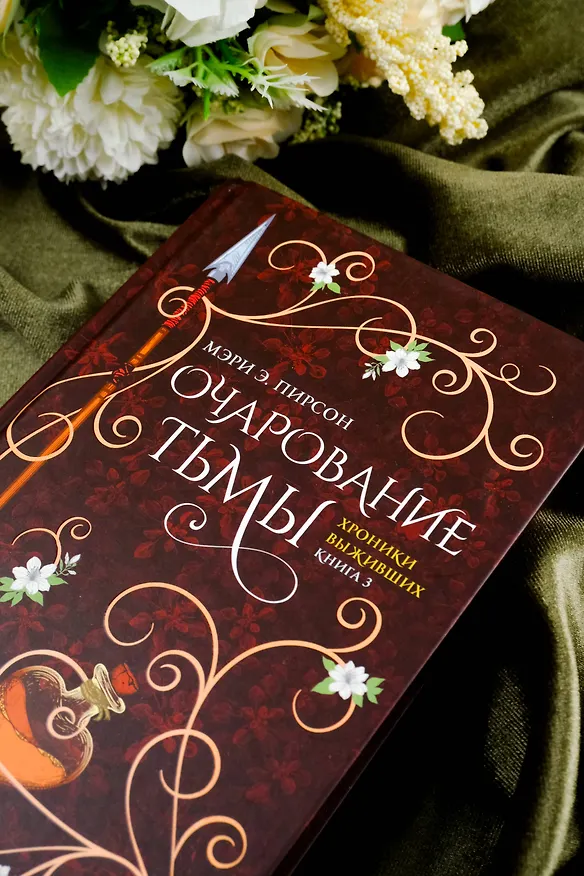 Книга Очарование тьмы (Мэри Э. Пирсон) — 7