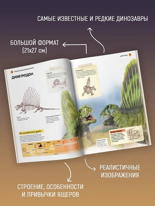 Книга Всё о динозаврах (Букс Паррагон) — 5