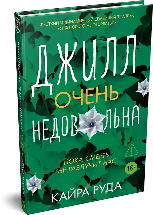 Книга Джилл очень недовольна (Кайра Руда) — 4