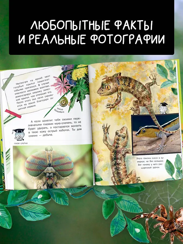 Книга Кто как видит? (Виталий Танасийчук) — 7