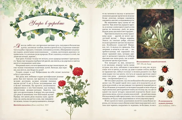 Книга Дары русского леса. Грибы, ягоды и целительные растения (Николай Золотницкий) — 11