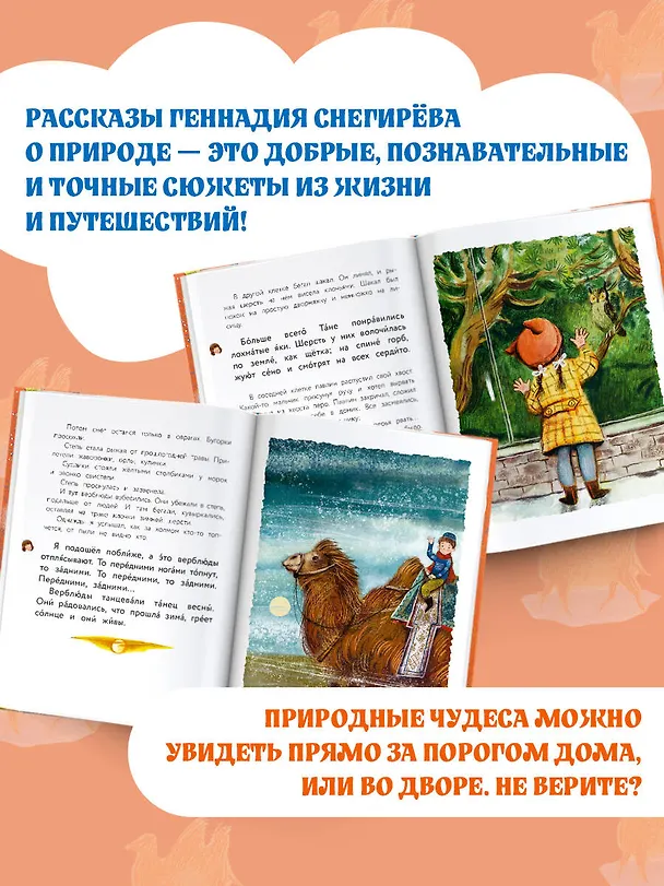 Книга Верблюжья варежка (Геннадий Снегирёв) — 6